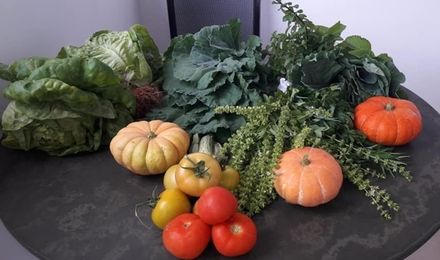 Laje como espaço de produção e renda familiar